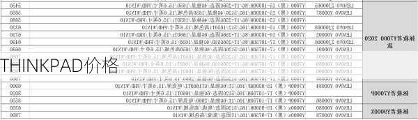 THINKPAD价格-第1张图片-模头数码科技网