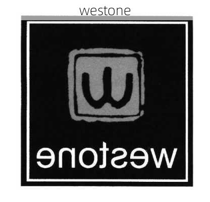 westone-第3张图片-模头数码科技网