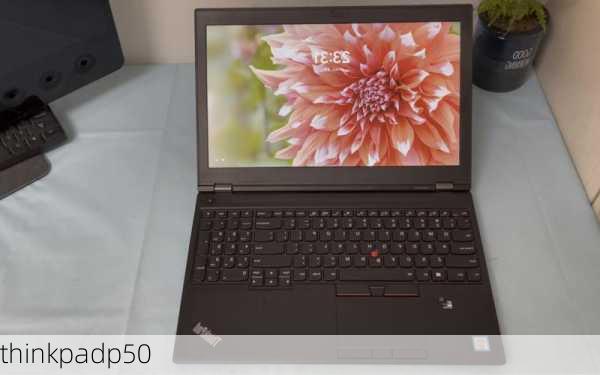 thinkpadp50-第1张图片-模头数码科技网