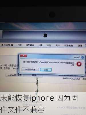 未能恢复iphone 因为固件文件不兼容-第2张图片-模头数码科技网