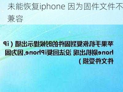 未能恢复iphone 因为固件文件不兼容-第3张图片-模头数码科技网