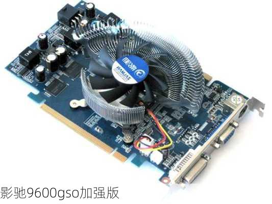 影驰9600gso加强版-第1张图片-模头数码科技网