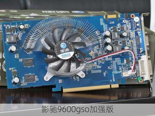 影驰9600gso加强版-第2张图片-模头数码科技网