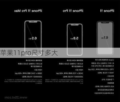 苹果11pro尺寸多大-第1张图片-模头数码科技网
