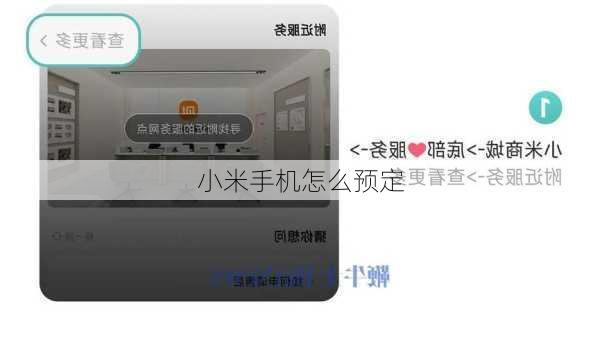 小米手机怎么预定-第2张图片-模头数码科技网
