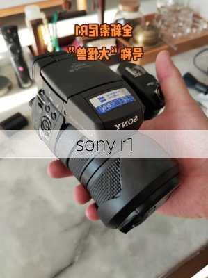 sony r1-第1张图片-模头数码科技网