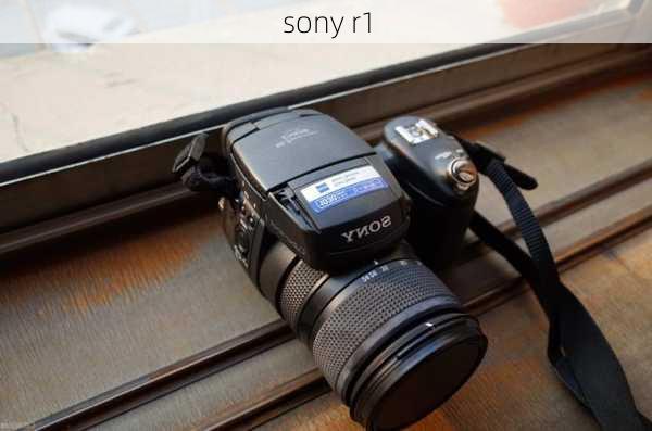 sony r1-第2张图片-模头数码科技网