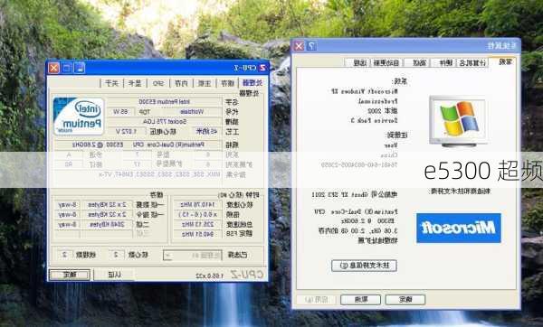 e5300 超频