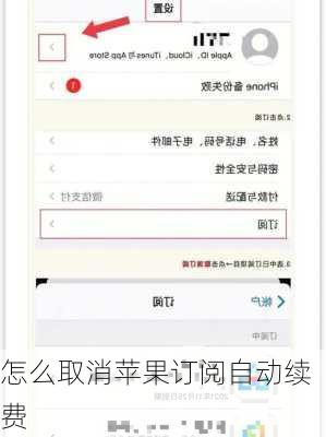 怎么取消苹果订阅自动续费-第1张图片-模头数码科技网