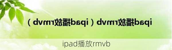 ipad播放rmvb-第2张图片-模头数码科技网