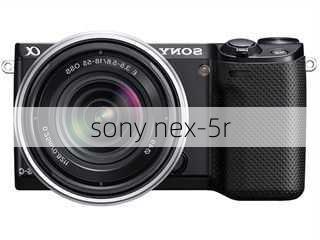 sony nex-5r-第2张图片-模头数码科技网