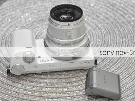 sony nex-5r-第3张图片-模头数码科技网