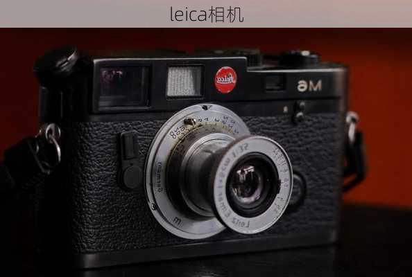 leica相机-第3张图片-模头数码科技网