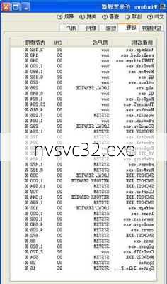 nvsvc32.exe-第2张图片-模头数码科技网