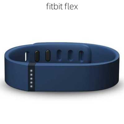 fitbit flex-第1张图片-模头数码科技网