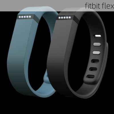 fitbit flex-第3张图片-模头数码科技网