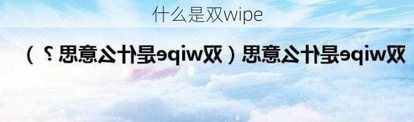 什么是双wipe-第1张图片-模头数码科技网