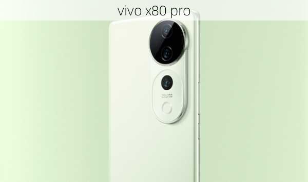 vivo x80 pro-第3张图片-模头数码科技网