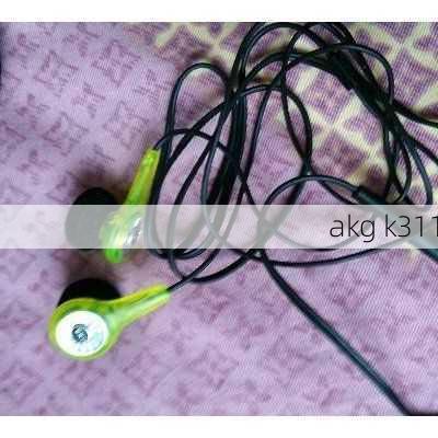 akg k311-第3张图片-模头数码科技网