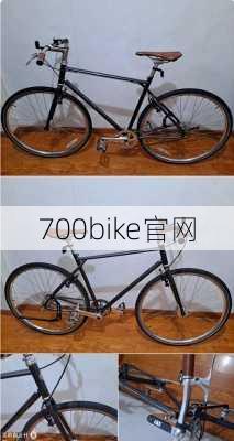 700bike官网-第2张图片-模头数码科技网