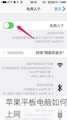 苹果平板电脑如何上网-第3张图片-模头数码科技网