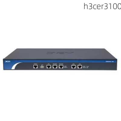 h3cer3100