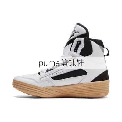 puma篮球鞋-第2张图片-模头数码科技网