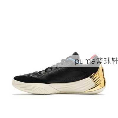 puma篮球鞋-第3张图片-模头数码科技网