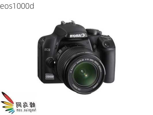 eos1000d-第2张图片-模头数码科技网