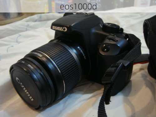 eos1000d-第3张图片-模头数码科技网