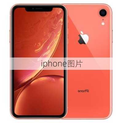 iphone图片-第2张图片-模头数码科技网