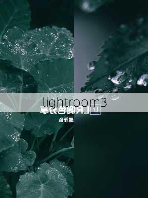 lightroom3-第2张图片-模头数码科技网