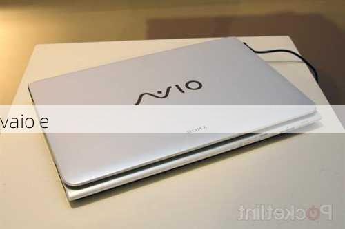 vaio e