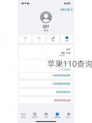 苹果110查询-第1张图片-模头数码科技网