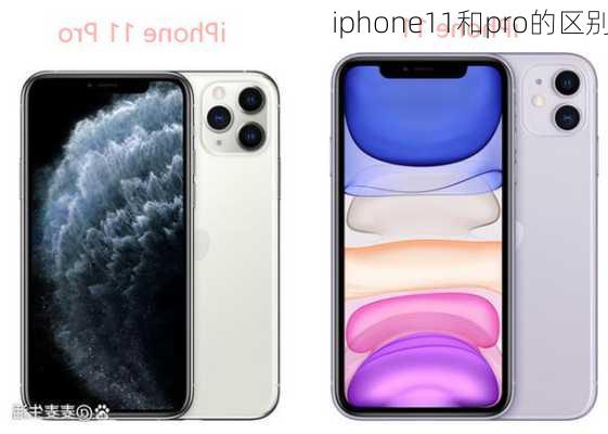 iphone11和pro的区别-第2张图片-模头数码科技网