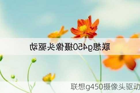 联想g450摄像头驱动-第2张图片-模头数码科技网