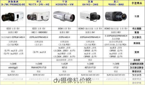 dv摄像机价格-第1张图片-模头数码科技网