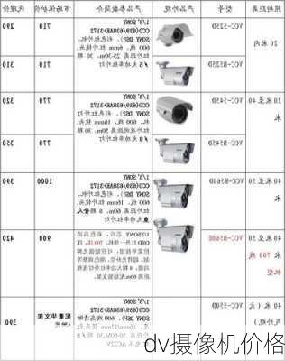 dv摄像机价格-第2张图片-模头数码科技网