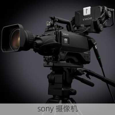 sony 摄像机-第3张图片-模头数码科技网