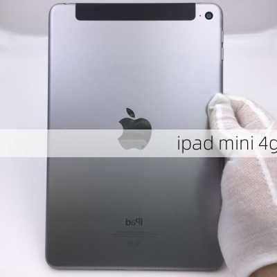 ipad mini 4g-第1张图片-模头数码科技网