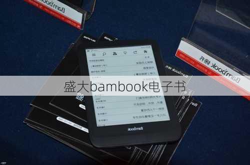 盛大bambook电子书-第1张图片-模头数码科技网