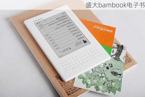 盛大bambook电子书-第3张图片-模头数码科技网