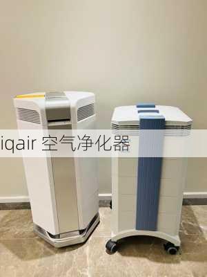 iqair 空气净化器-第3张图片-模头数码科技网