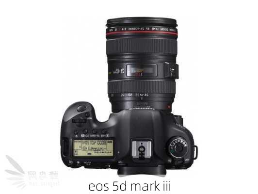 eos 5d mark iii-第3张图片-模头数码科技网