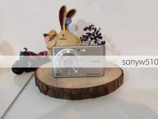 sonyw510-第1张图片-模头数码科技网