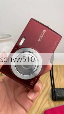 sonyw510-第3张图片-模头数码科技网