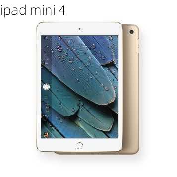 ipad mini 4-第3张图片-模头数码科技网