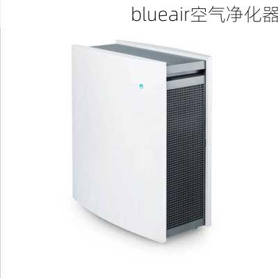 blueair空气净化器-第2张图片-模头数码科技网