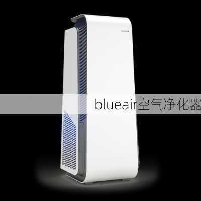 blueair空气净化器-第1张图片-模头数码科技网