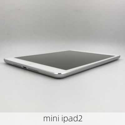 mini ipad2-第1张图片-模头数码科技网